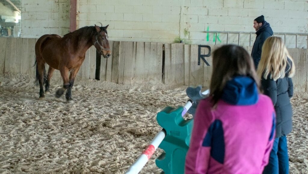 Equicoaching avec l'équipe de JVS